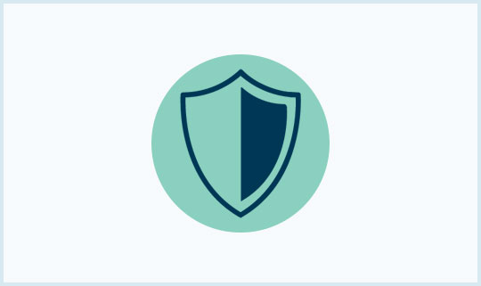 firewall protected icon